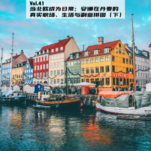 Vol.41:当北欧成为日常:安娜在丹麦的真实职场、生活与副业拼图(下)