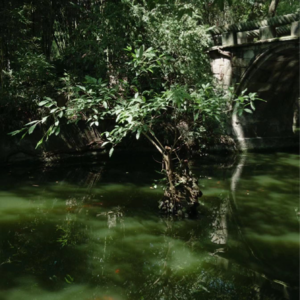 vol.3 | 钰莹 x 君妍 断舍离：内外相应 知行合一｜上海