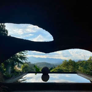 Vol.025 中秋特辑:菌子鲜美,咖啡飘香,普洱大开河之夜