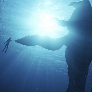 062.冬日寒冷，还好有《阿凡达2》和世界杯