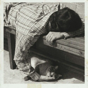 玄学夜话039｜崩溃破防的夜晚，聊聊斗数中的共盘，羡慕这些有缘分的人