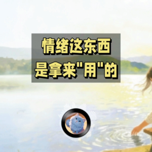 不起心，不动念，把情绪“用”起来 | 蓝猫电台