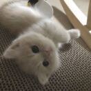 今天不想早起na