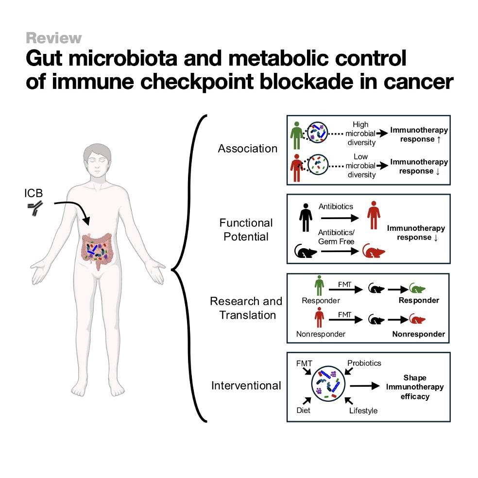 1112-Gut Microbiota & Cancer Immunotherapy episode artwork