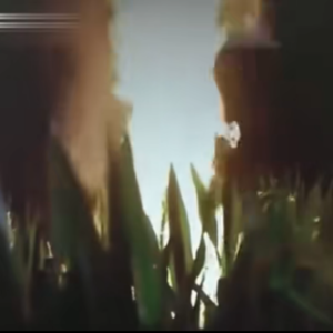 1.1984渭津河畔的焦痕：辽源双尸案中案