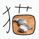 张爱玲_YeuA