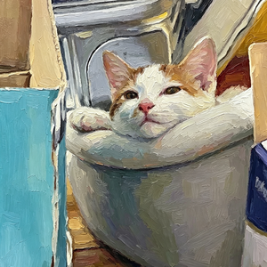 吾生晓梦迷小猫---献给蛋挞