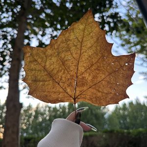 podcaster-avatar