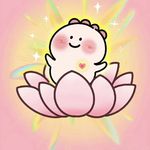 兜兜有多多米