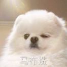 阿回是我呀