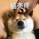 芋圆_3bN2