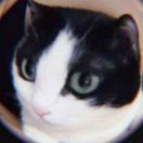 刺猬小姐_你好