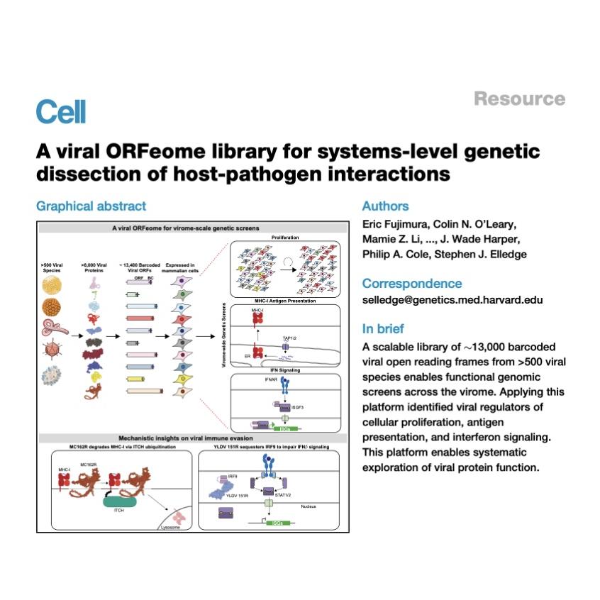 1494-Viral ORFeome for Host-Pathogen Interaction Screening episode artwork