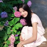 素若安