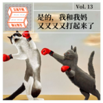 Vol.13 是的，我和我妈又又又又打起来了