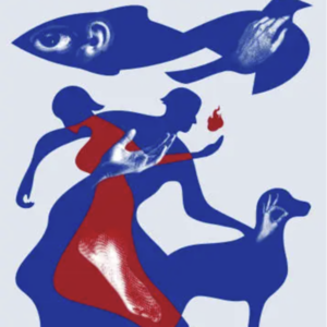 阿那亚戏剧节到底该如何刷剧?