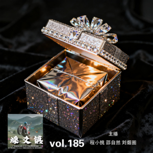 燥爻镇vol.185 礼物 下