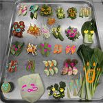 从饮食人类学到飞机餐工厂：Jessie 的人与食物大观察｜Vol.39