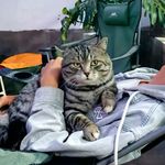 老弟哥
