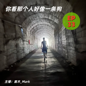 33. 你看那个人好像一条狗