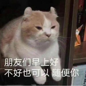 小鱼鱼鱼鱼