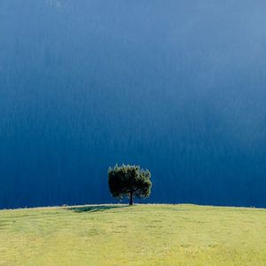 podcaster-avatar