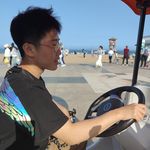 过路土橘猫