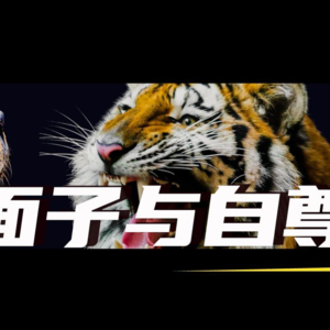 嫉妒，面子与自尊