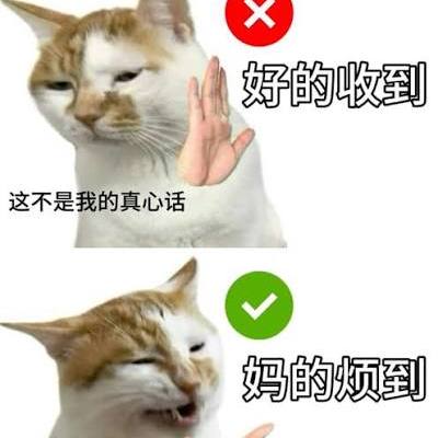 三点吃茶 - 《毫无意义的工作》：我们为了工作而生活还是为了生活而工作
