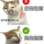 《毫无意义的工作》：我们为了工作而生活还是为了生活而工作
