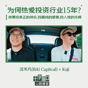 「热爱一个行业15年的理由是什么?」|对谈汪天凡:我要投真正的快乐、投最纯的愿景、投人性的光辉【公路播客】