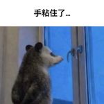 Yw_3CN6