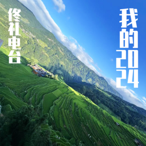 我的2024#佟电33