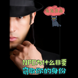 NPD为什么非要窃取你的身份