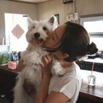 一颗可颂-