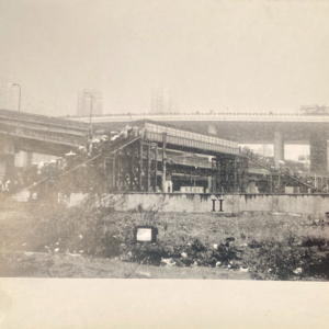 357 神棍是怎么买到林志英的