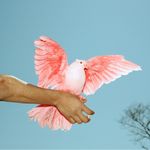 我求求你别听了行吗