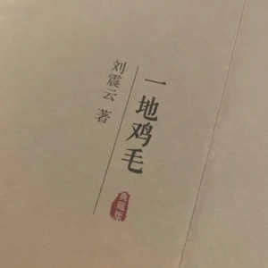 #46狠书解构《单位》到《一地鸡毛》从职场向上管理到端茶倒水擦地