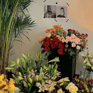 VOL278.艺术是永葆生命力的！你喜欢什么，什么就是你的灵魂。