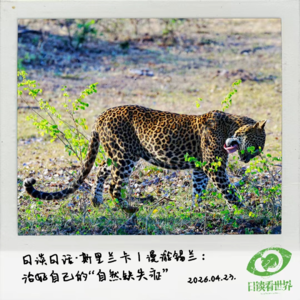 日谈日话·斯里兰卡｜漫游锡兰：治好自己的“自然缺失症”