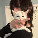 橙子盐