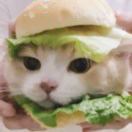 wow5555