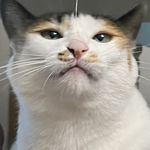 梨子WJL