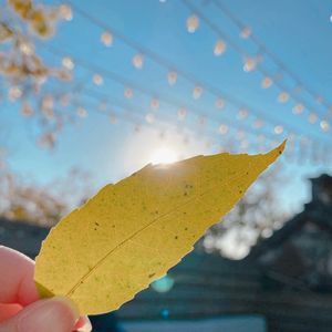 阳光下的气泡水