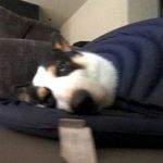 再次重逢的世界-