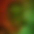 Don_12