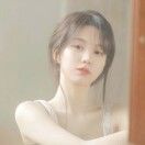 苜蓿_Vyu0