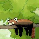 大奇_