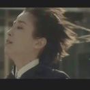 啊鹤猪