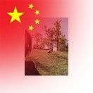 LIU_dIYQ